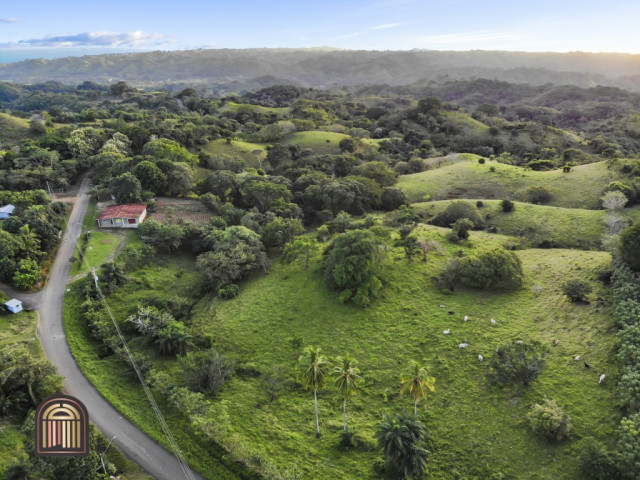 5 Hectares With Ocean View