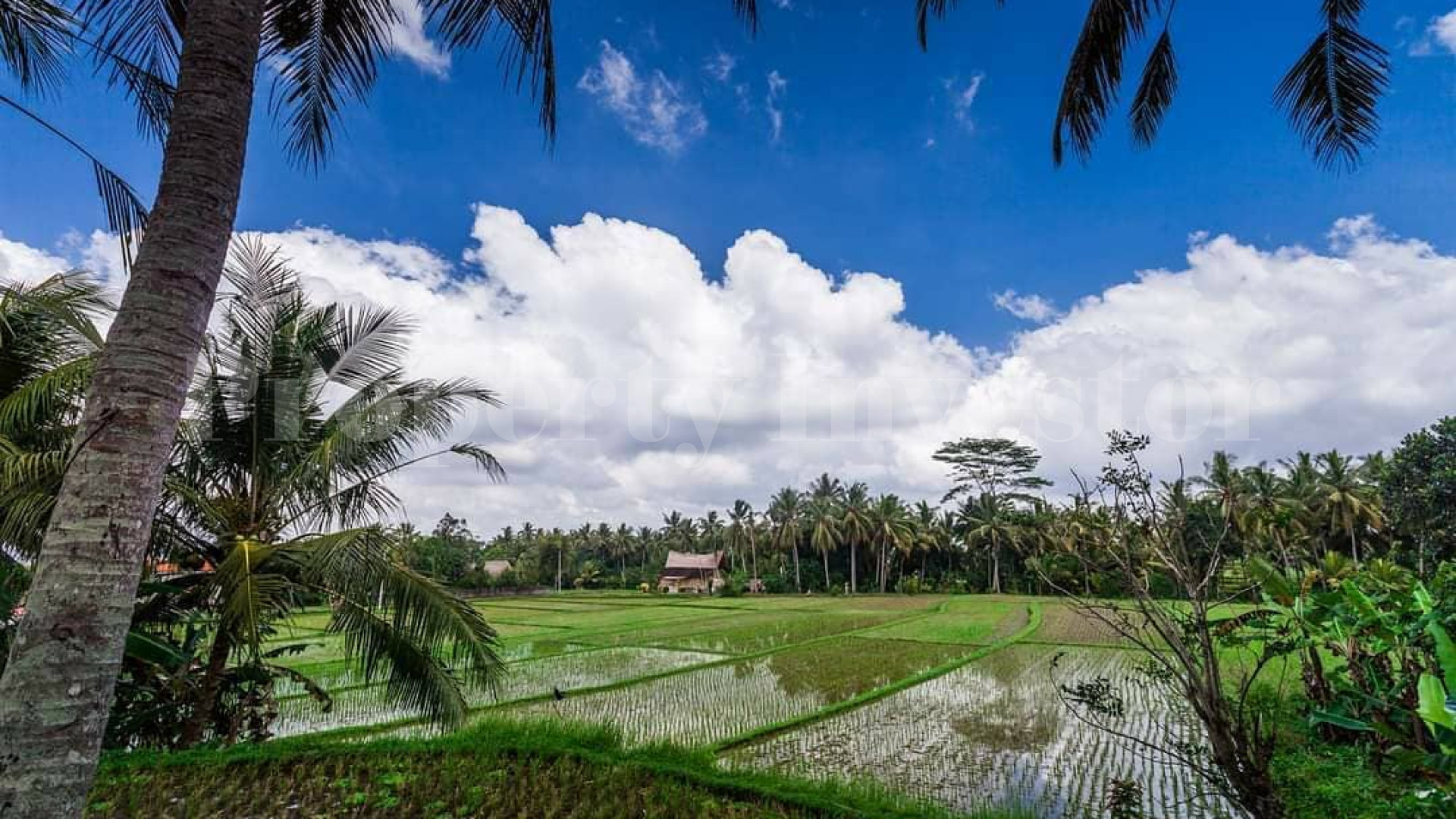 Stylish 3 Bedroom Tropical Designer Villa for Sale in Ubud, Bali