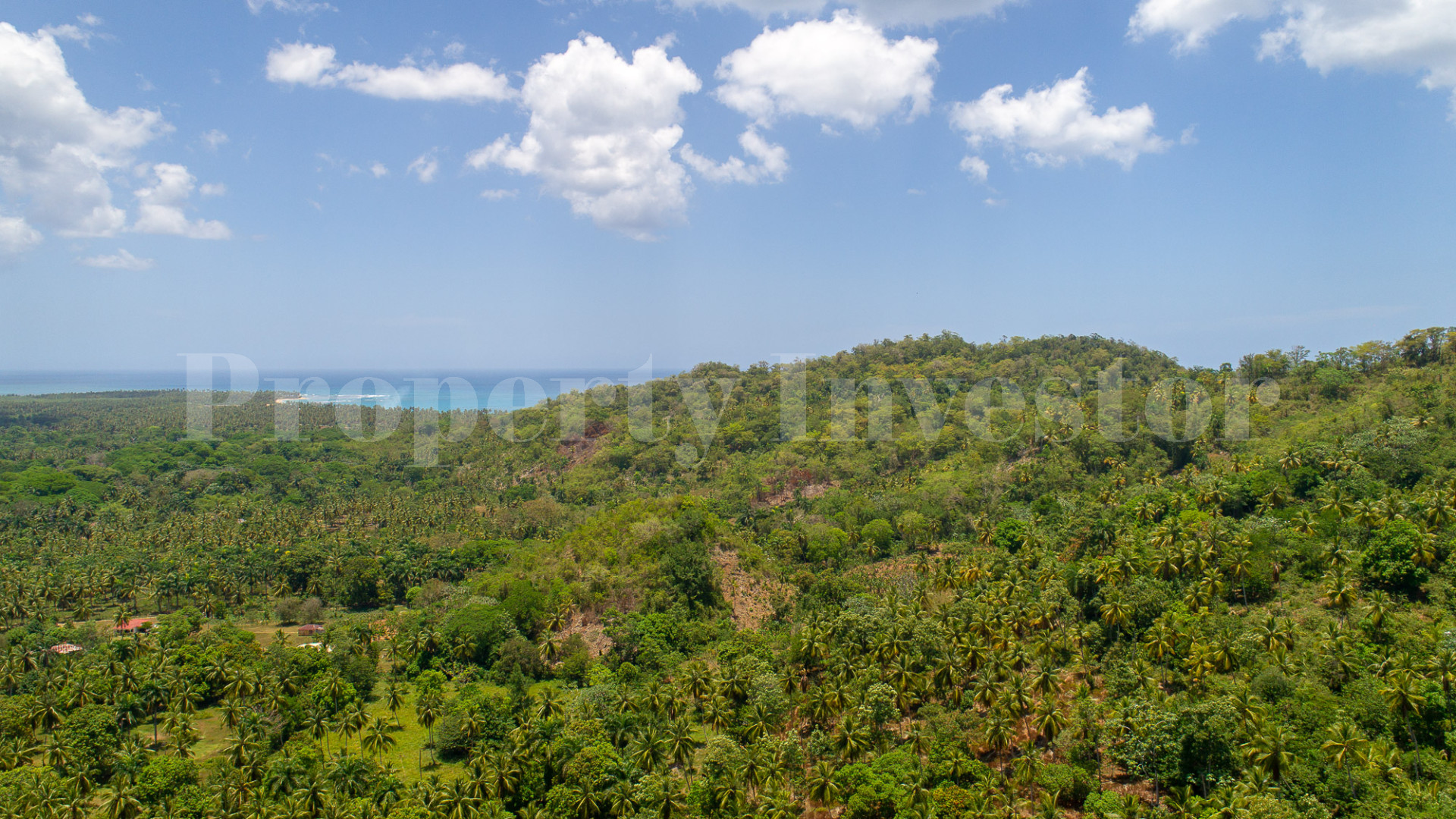 Approximately 200 Hectares of Land for Commercial or Tourism Development for Sale Near Las Terrenas, the Dominican Republic