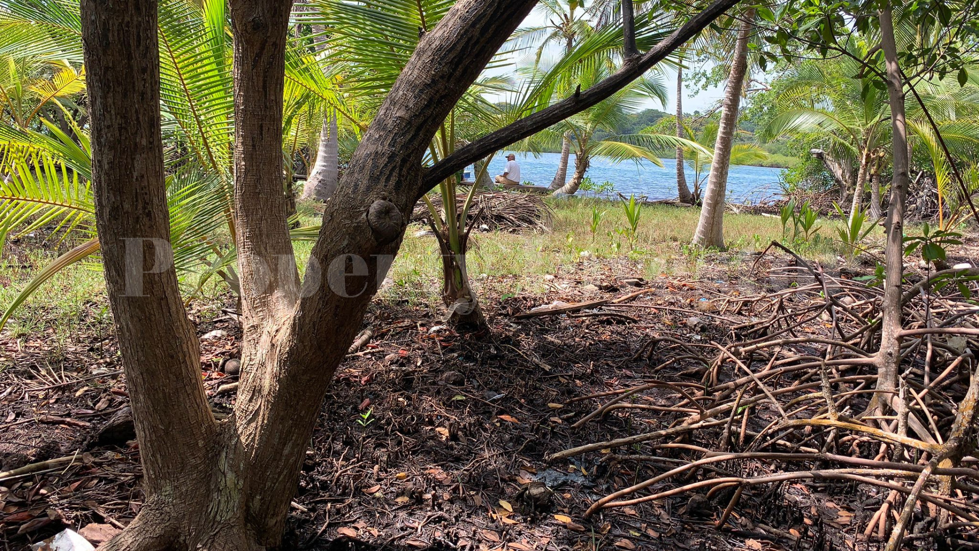 Private Virgin Island for Sale in Bocas del Toro, Panama