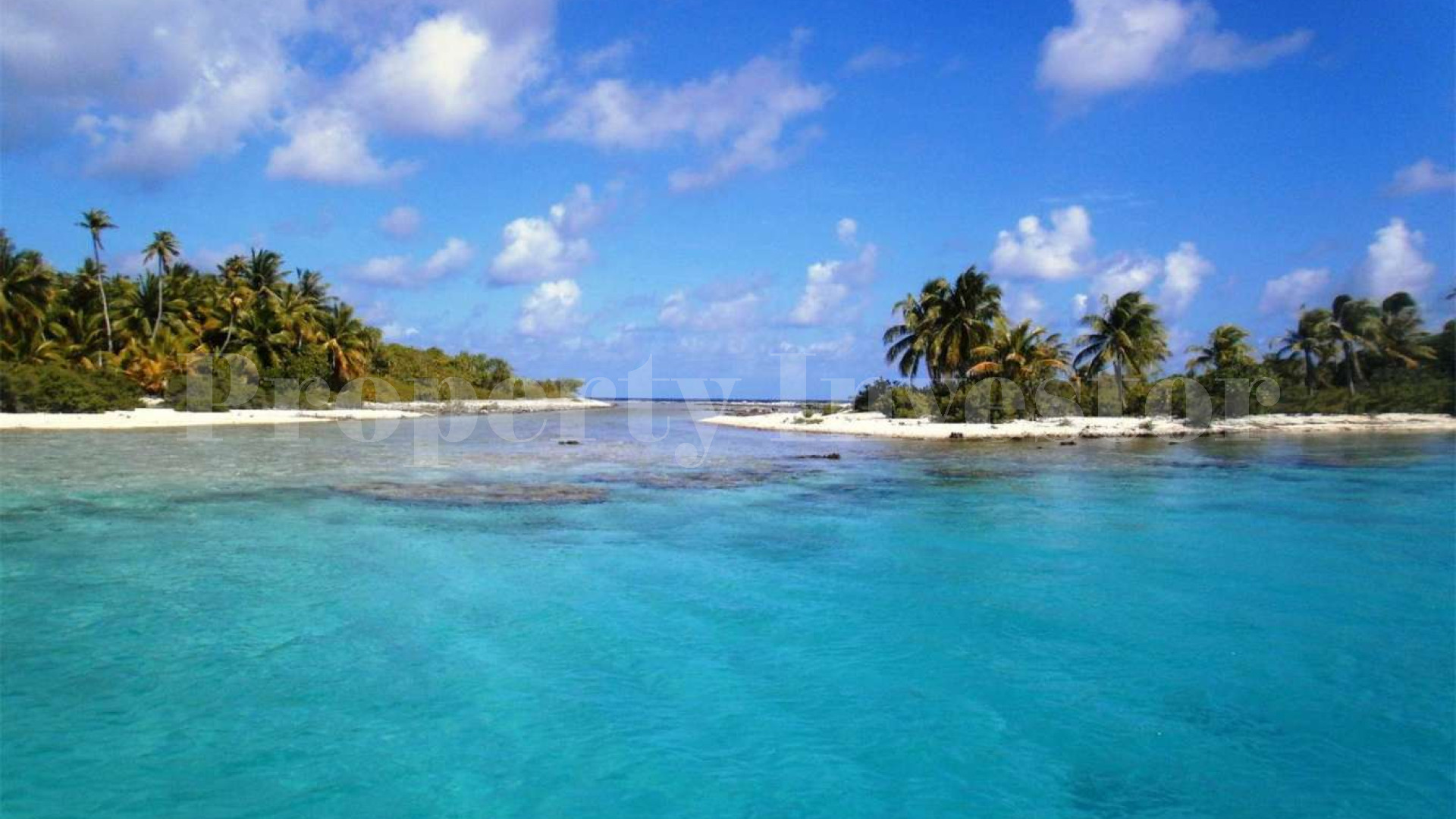 Stunning 1.4 Hectare Virgin Island for Sale in French Polynesia