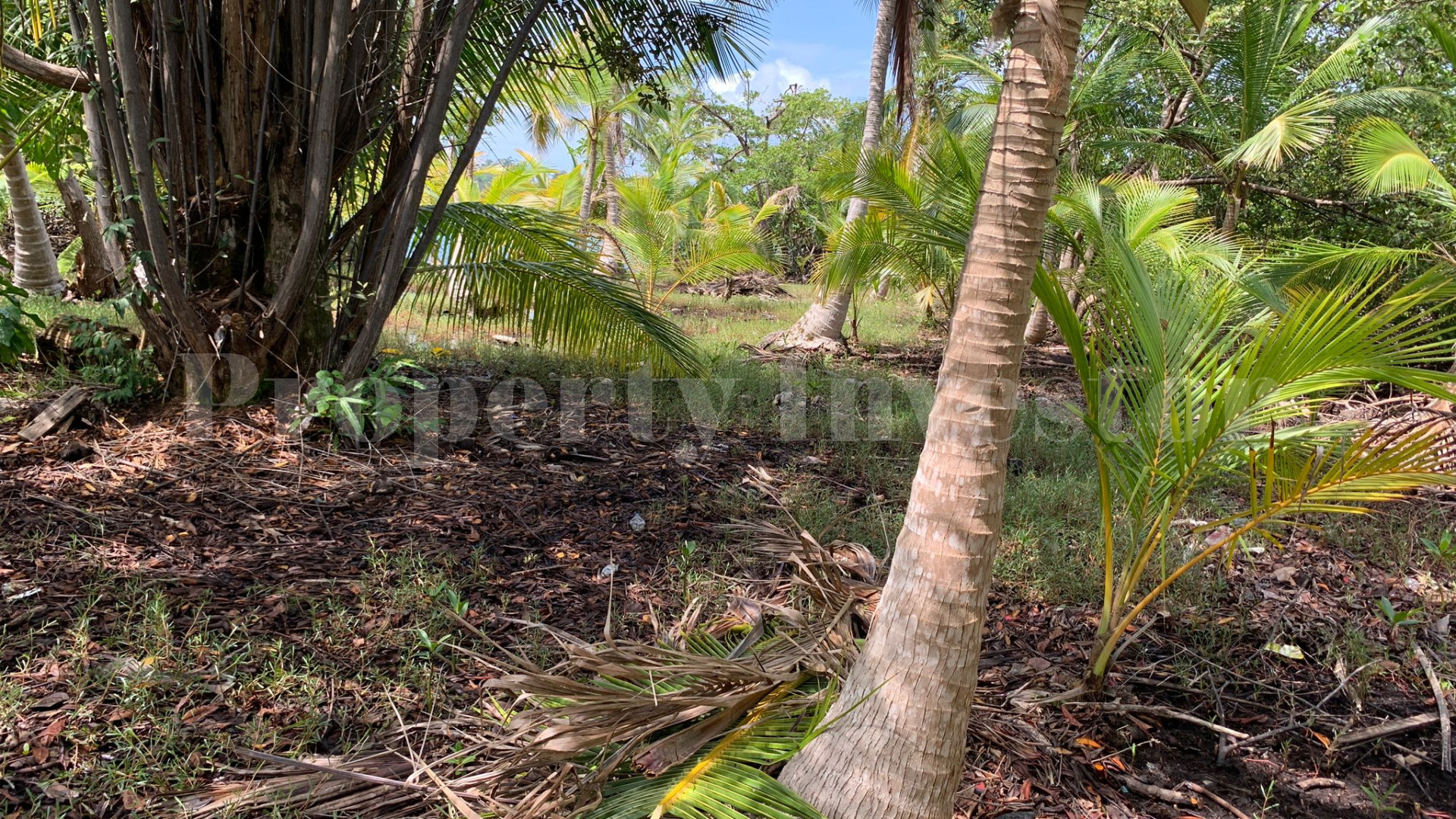 Private Virgin Island for Sale in Bocas del Toro, Panama