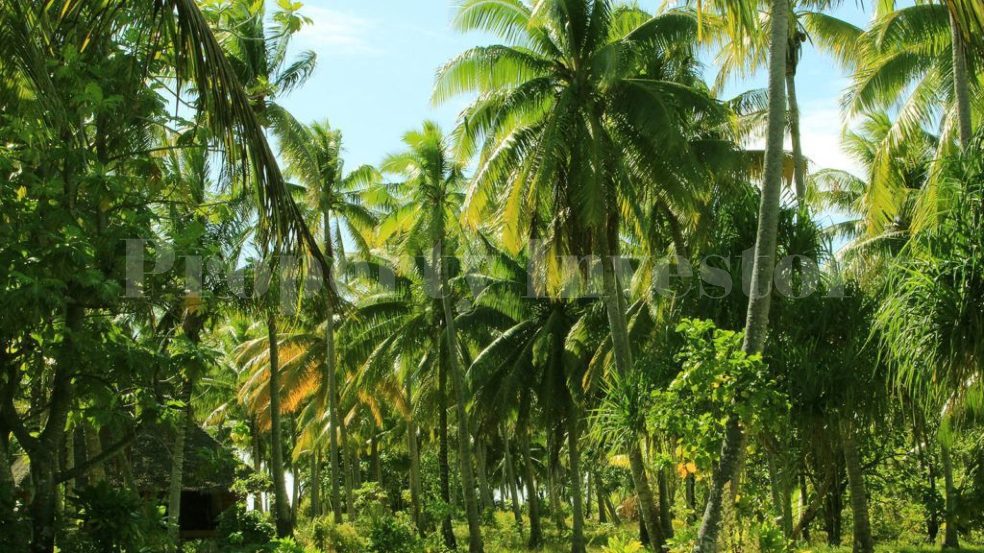 Picturesque 7.12 Hectare Private Virgin Island for Sale in Taha'a, French Polynesia