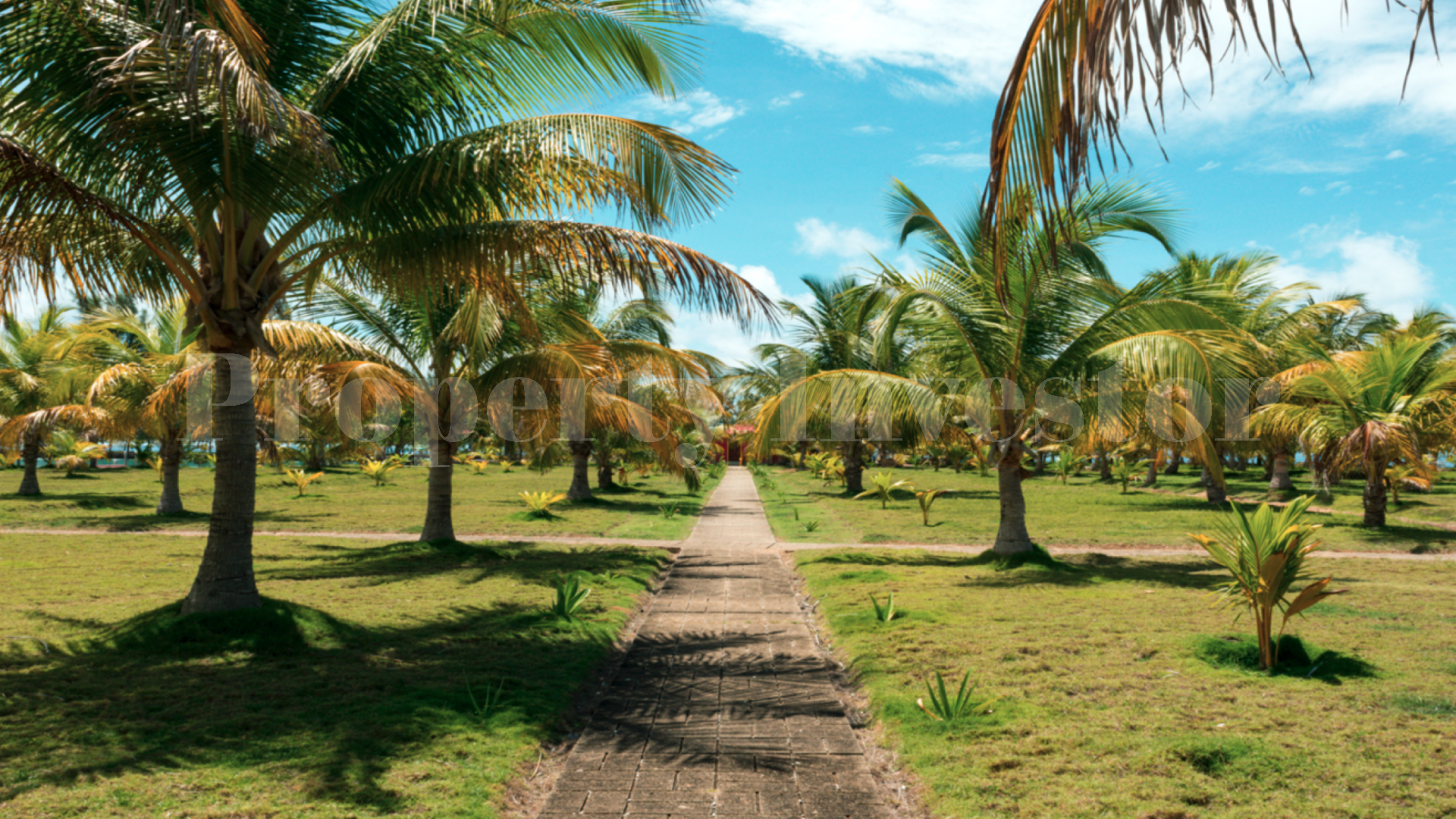 Long Coco Caye — The Premier Private Island Sanctuary on Offer in the Caribbean