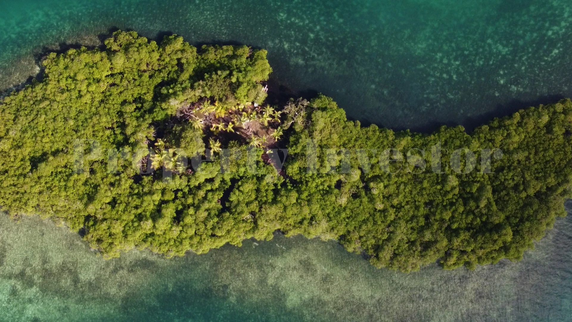 Private Virgin Island for Sale in Bocas del Toro, Panama