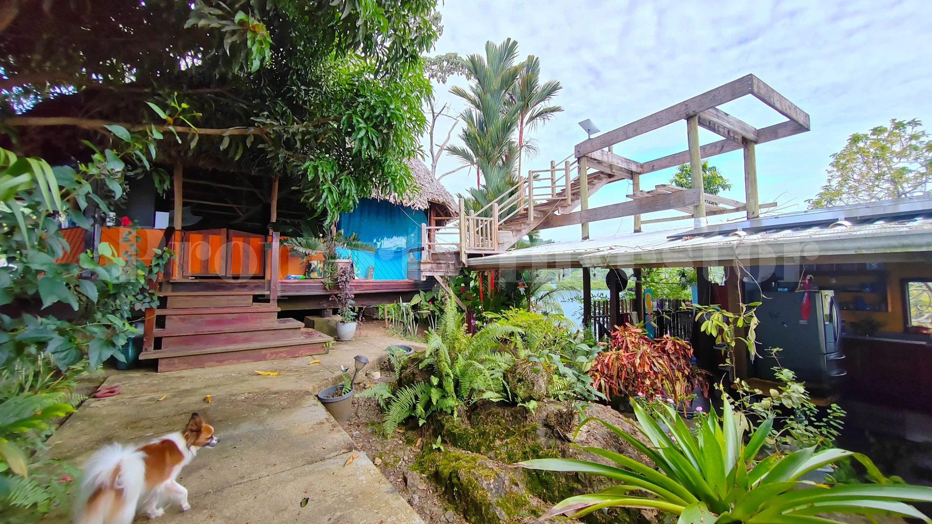 Off-Grid 3144 m² Private Tropical Eco Island in Bocas del Toro, Panama