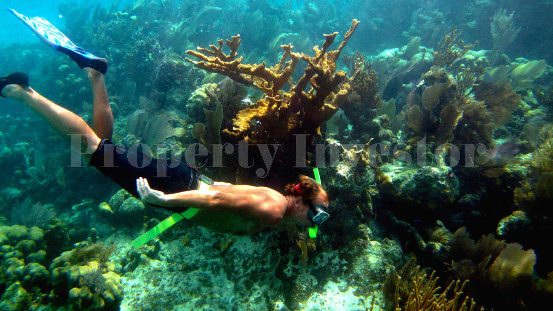 Private Island Resort & PADI 5-Star Gold Palm Dive Center for Sale on Glover's Reef Atoll, Belize