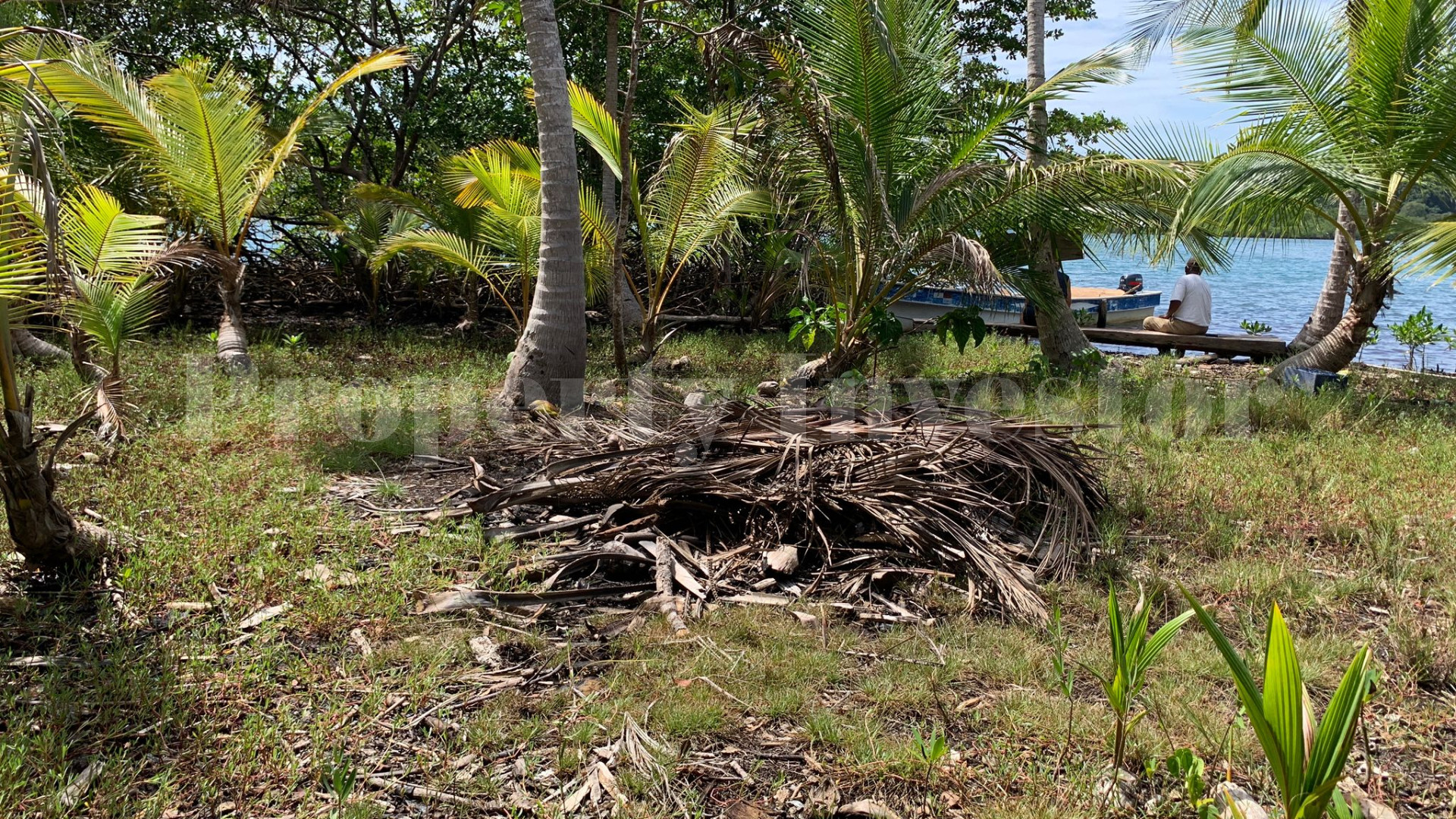 Private Virgin Island for Sale in Bocas del Toro, Panama