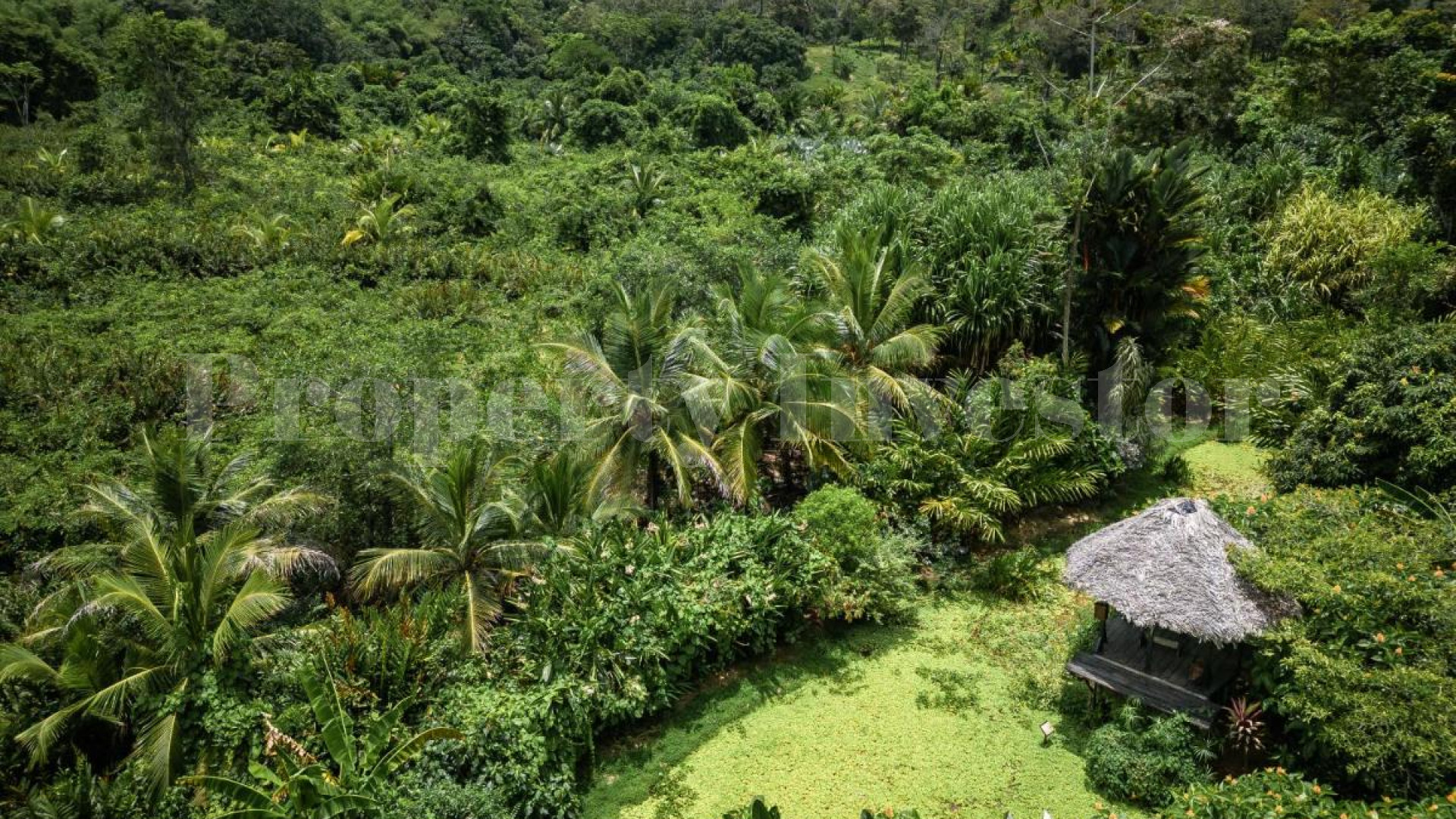 5.6 Acre Boutique Overwater Bungalow Eco-Resort & Nature Reserve for Sale in Bocas del Toro, Panama