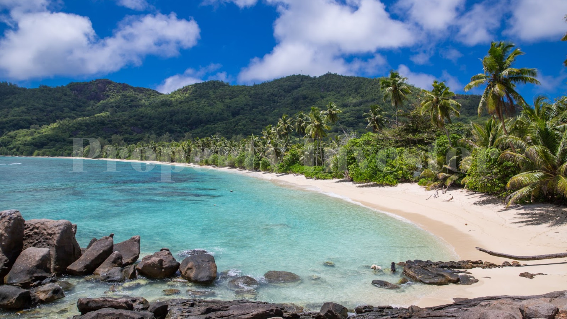 Продается участок земли 2,4 га с панорамным видом на море на Сейшелах