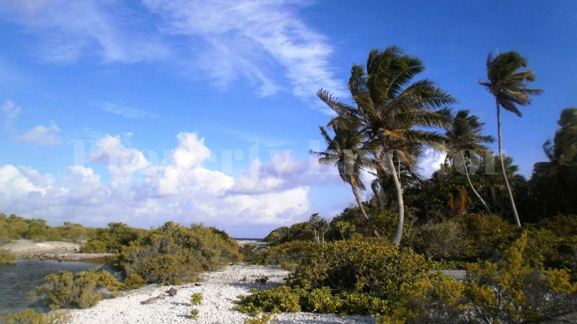 Продается прекрасный дикий остров 1,4 га во Французской Полинезии