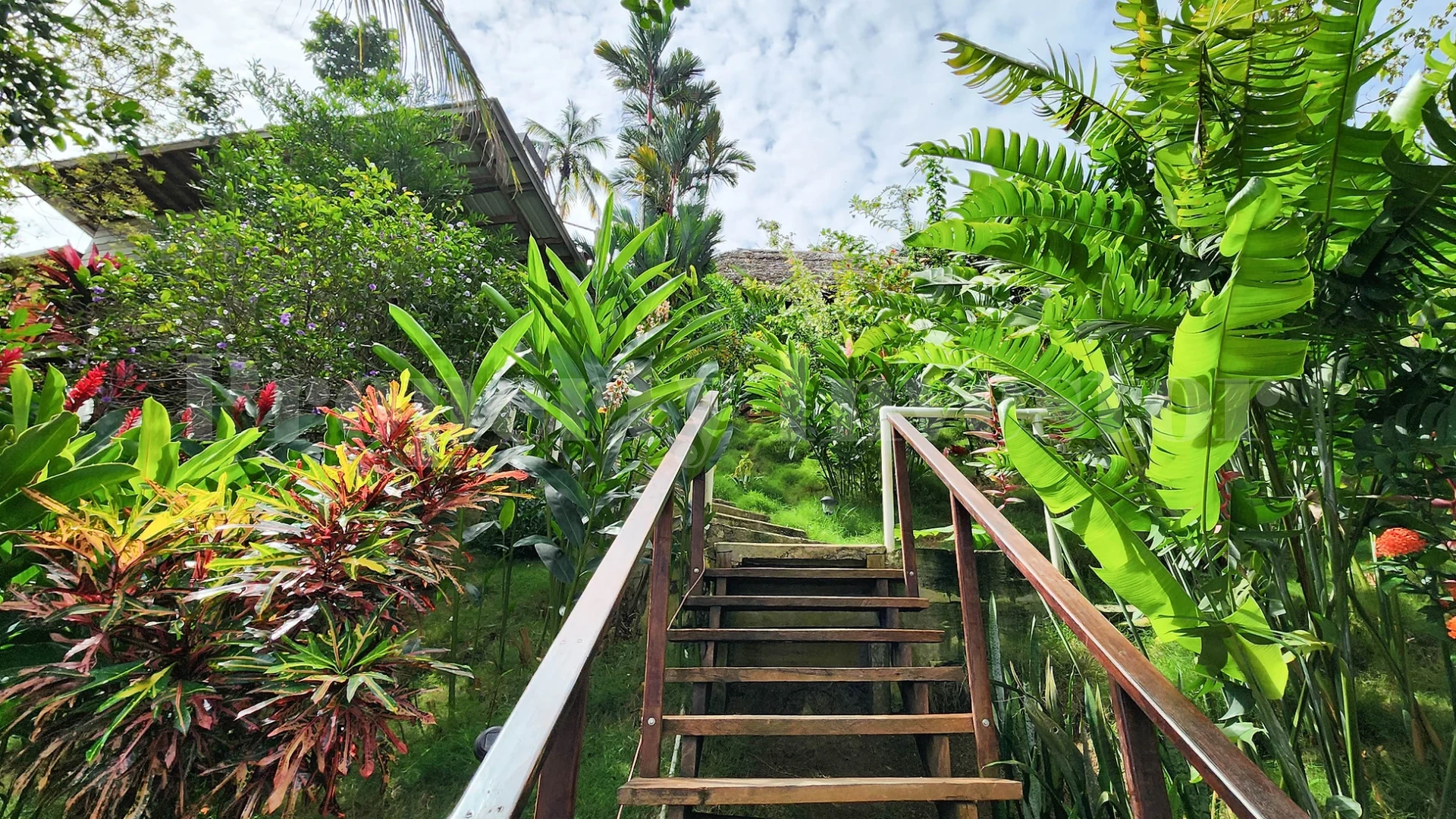 Off-Grid 3144 m² Private Tropical Eco Island in Bocas del Toro, Panama