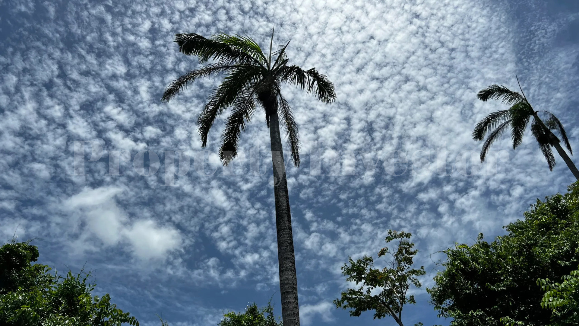 Stunning 8.5 Acre (3.4 Hectare) Private Virgin Island with Lush Vegetation for Development in Belize