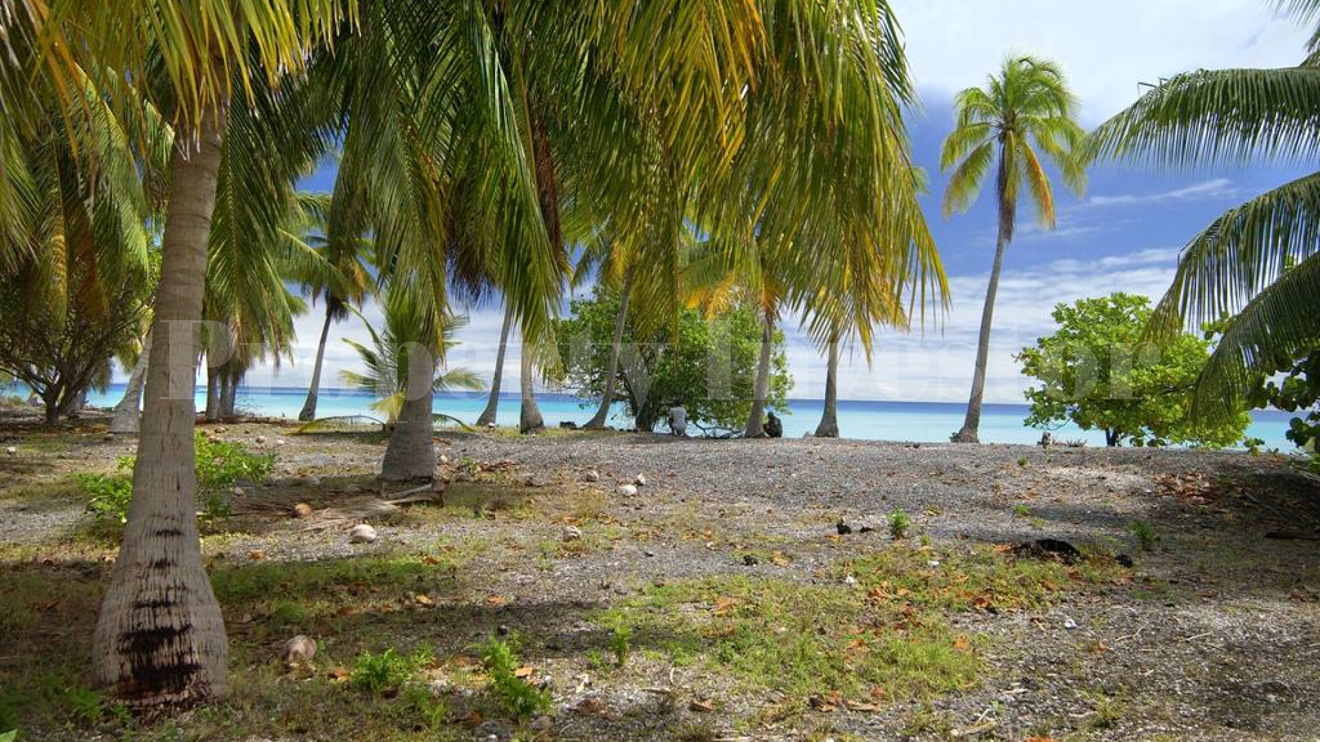 Продаётся частный дикий остров во Французской Полинезии