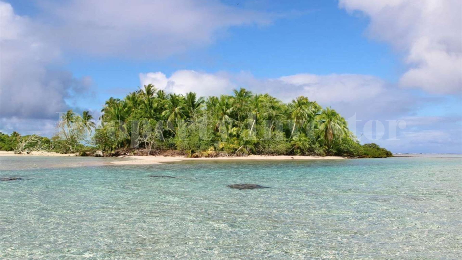 Beautiful 0.7 Hectare Virgin Island for Sale in French Polynesia