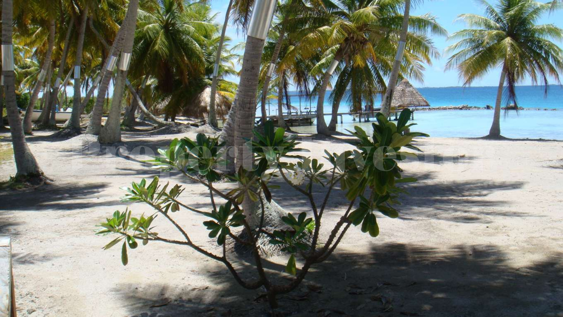 Продается частный островной бутик-ретрит с 5 бунгало площадью 3,36 га во Французской Полинезии