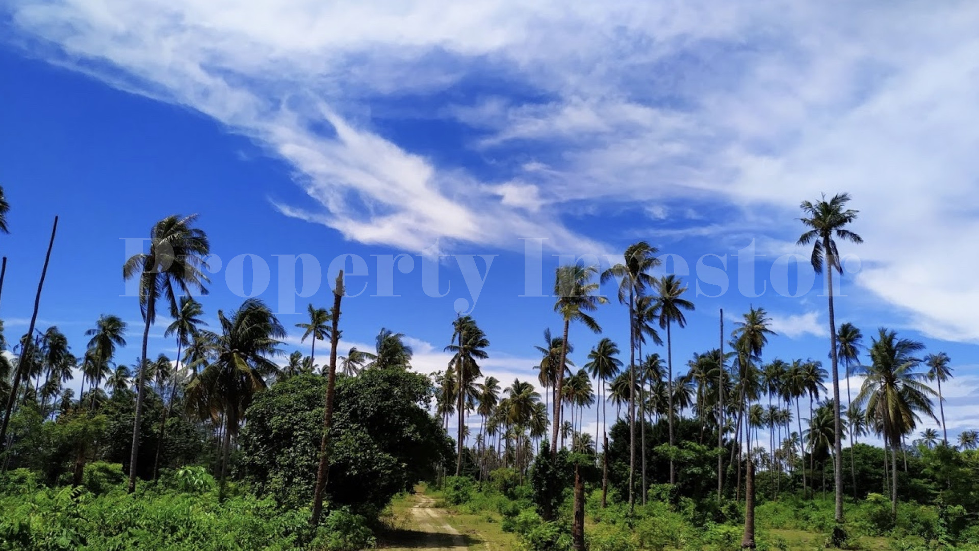 Expansive 192 Hectare Private Tropical Island for Residential or Commercial Development for Sale in Thailand