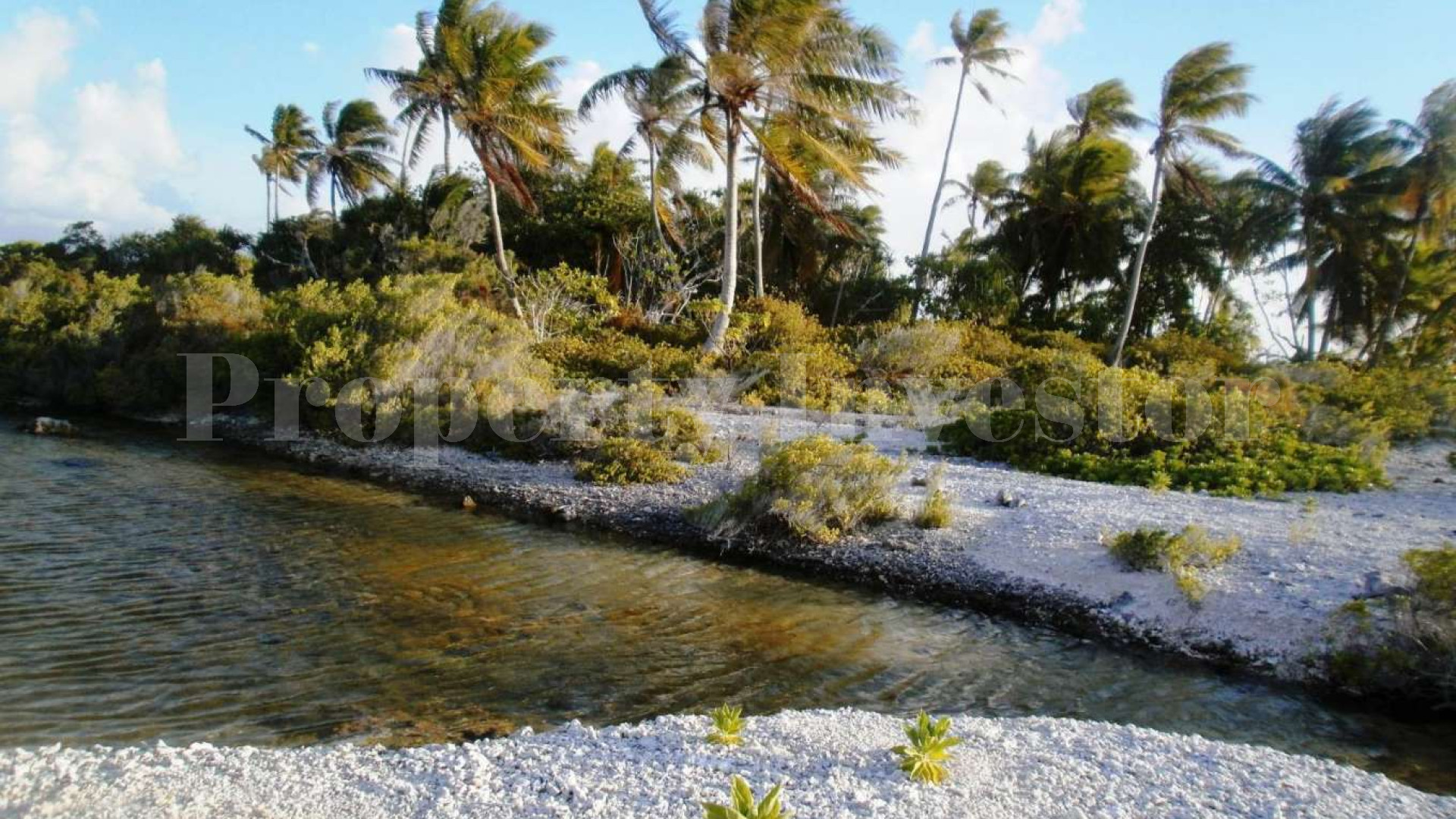 Stunning 1.4 Hectare Virgin Island for Sale in French Polynesia