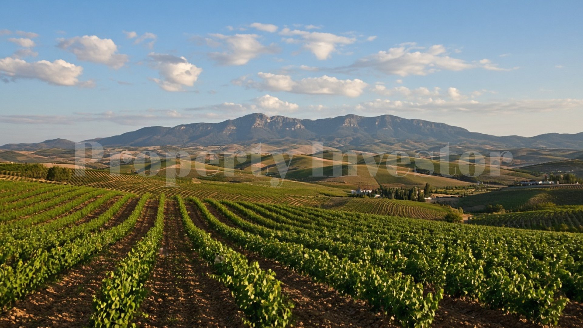Family-Origin Spanish Winery with 10 Hectares of Vineyards in World-Famous Wine Producing Rioja in Northern Spain